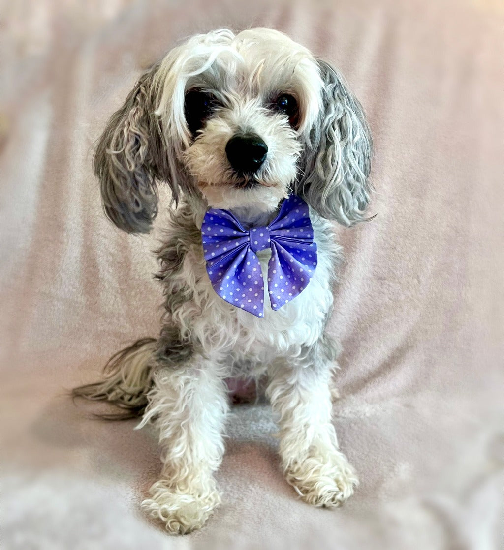 Girl Bow Tie - Polka Dot Lavendel
