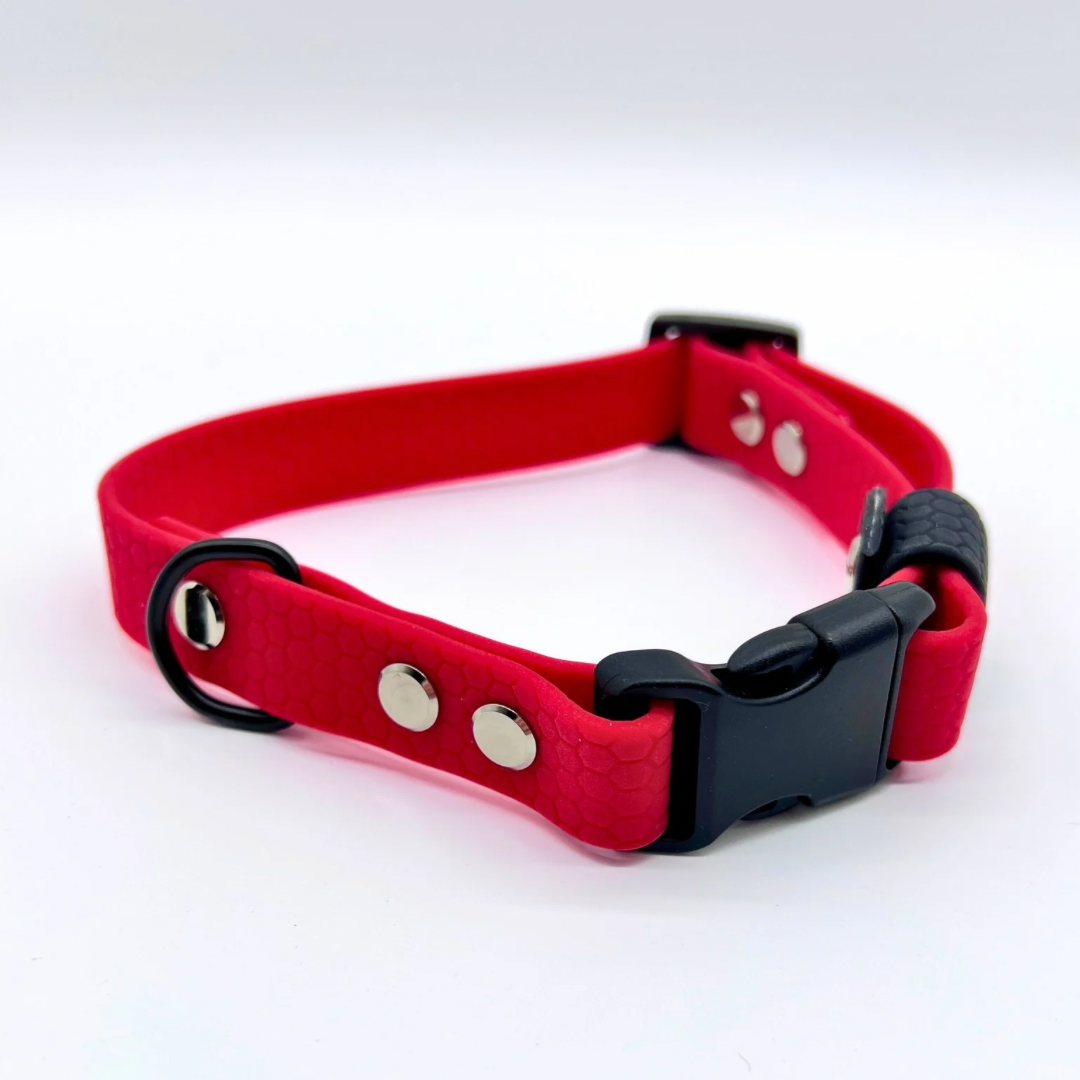 Hundhalsband Hexa ställbart med snäpplås