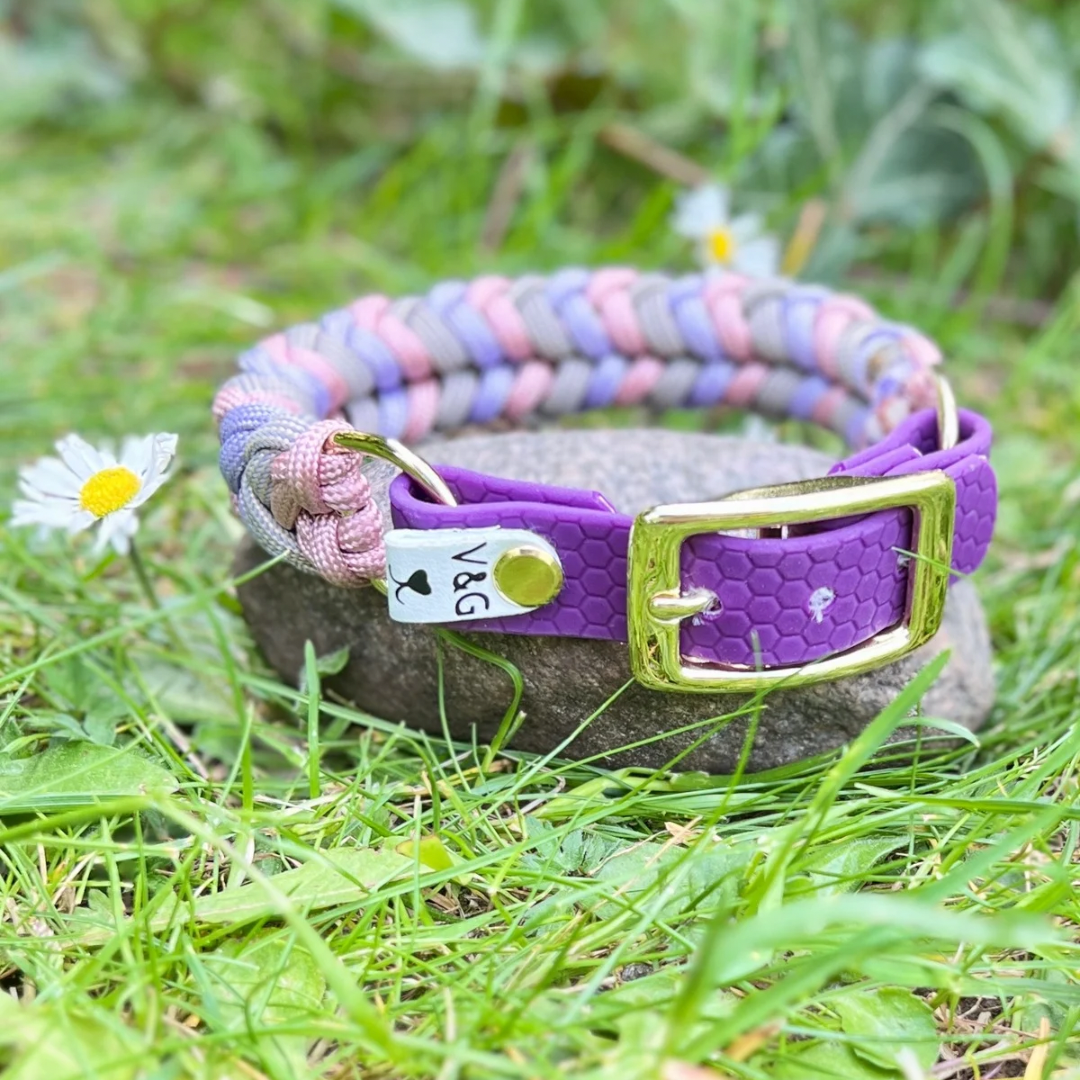 Halsband i Paracord 20mm