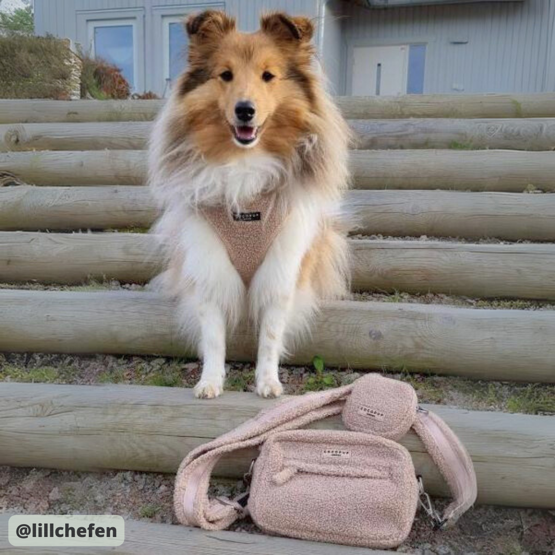 Cocopup Hundsele i Teddy - Rupert