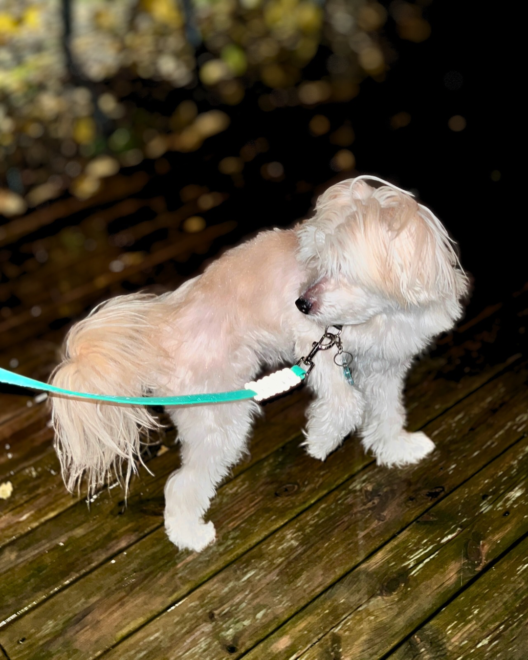 Reflexkoppel i Hexa 16mm