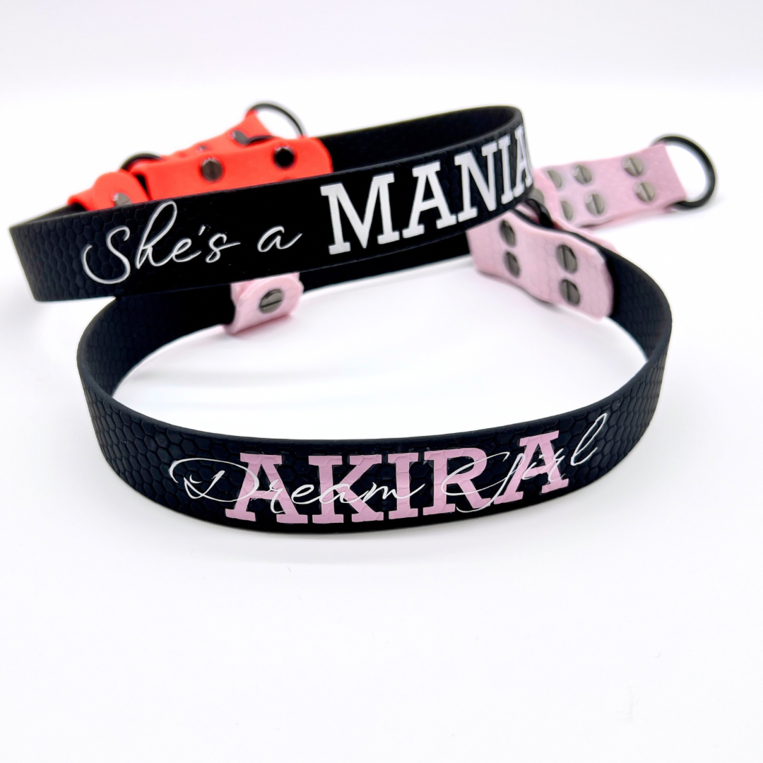 Retriverhalsband med två stopp i Hexa