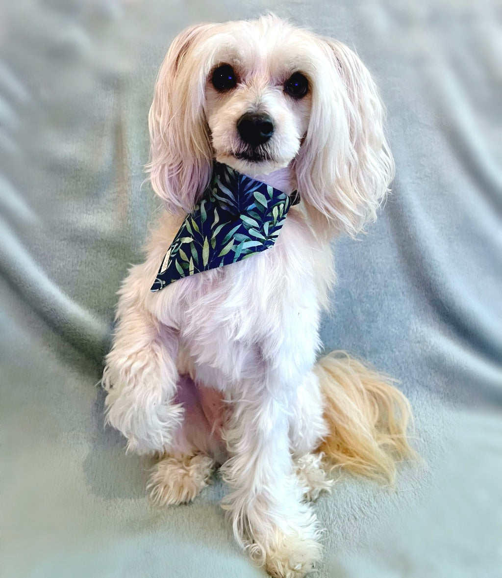 Hundbandana - Blue Leaves