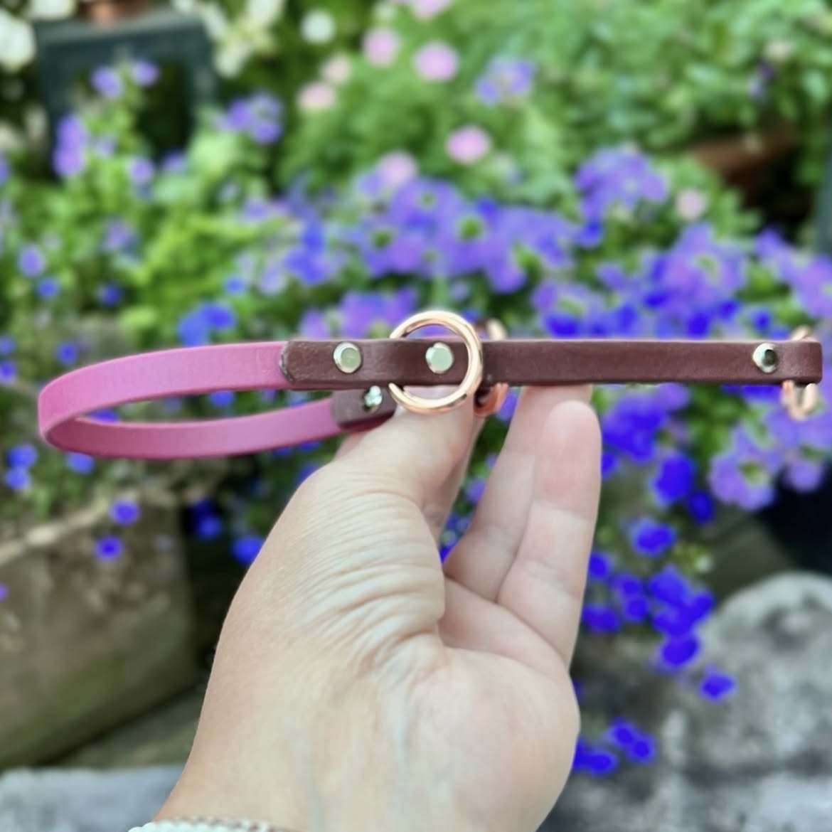 Halsband halvstryp. Bredd: 10mm, Stl: 23+5cm