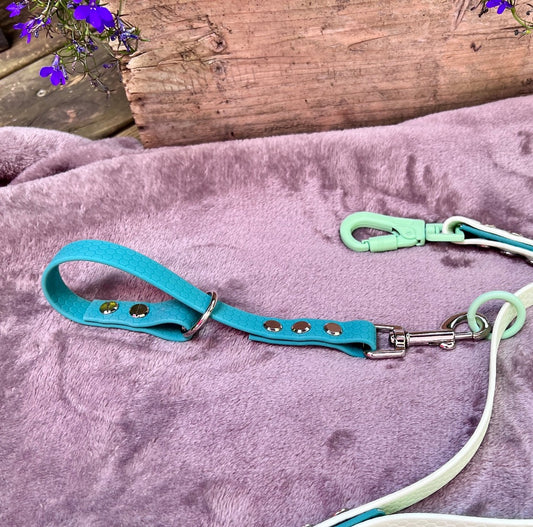 SÀkerhetsrem för koppel