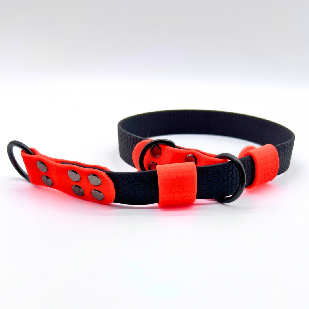 Retriverhalsband med två stopp i Hexa