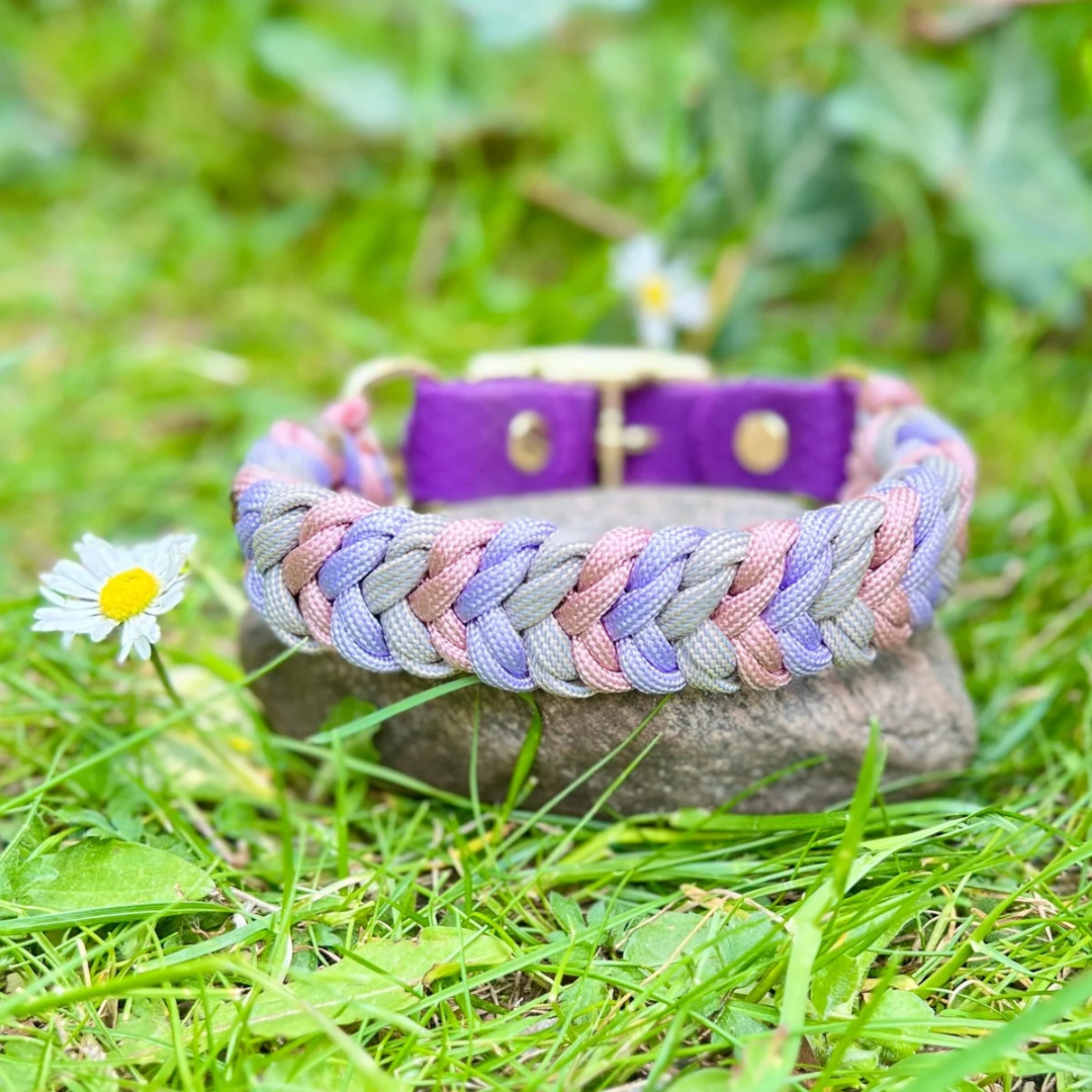 Halsband i Paracord 20mm