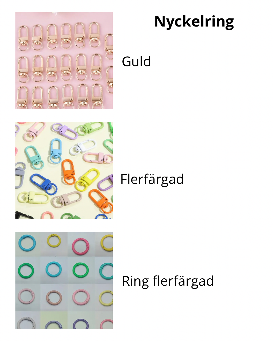 Namnbricka till din hund