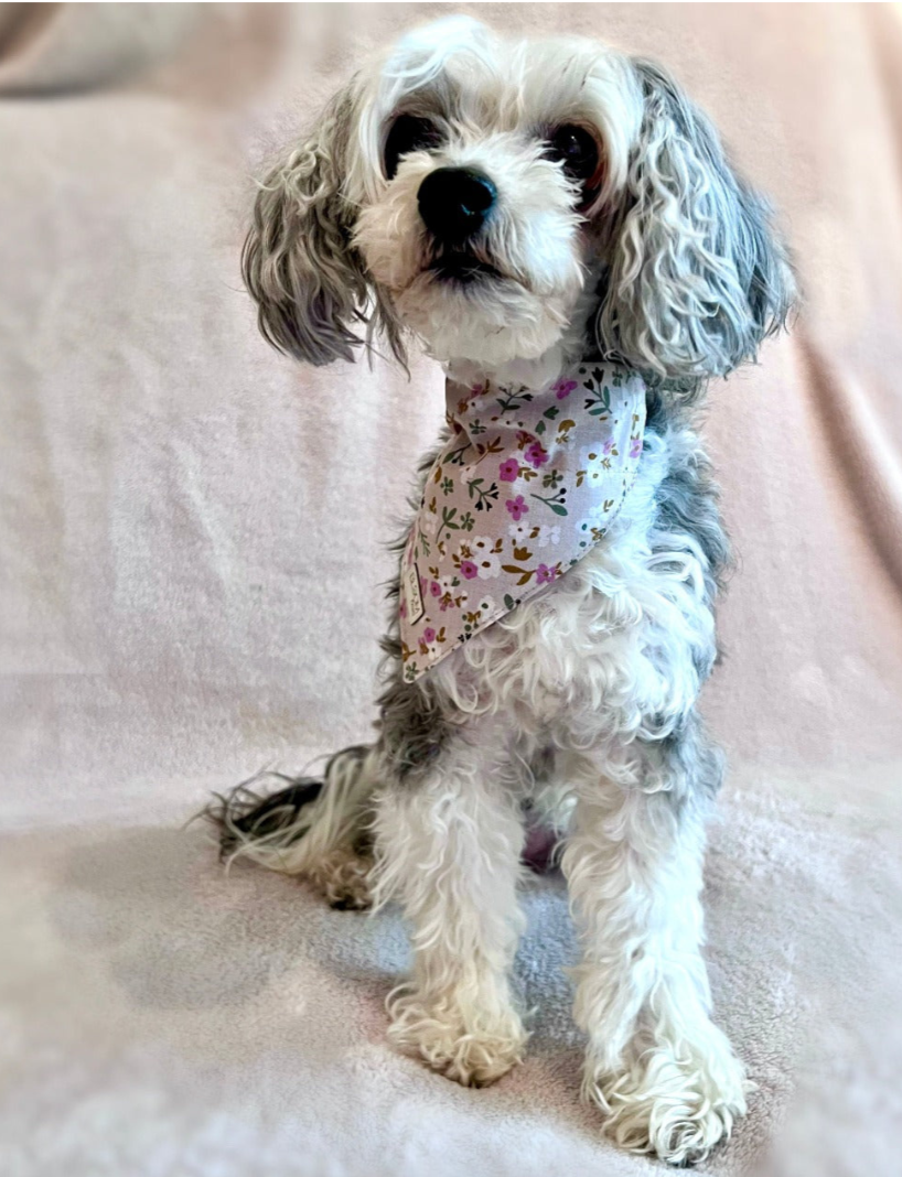 Hundbandana - Rosa små blommor