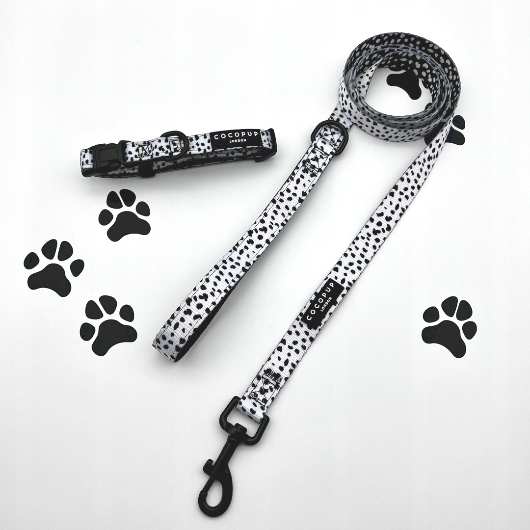 Hundhalsband Monochrome Spots