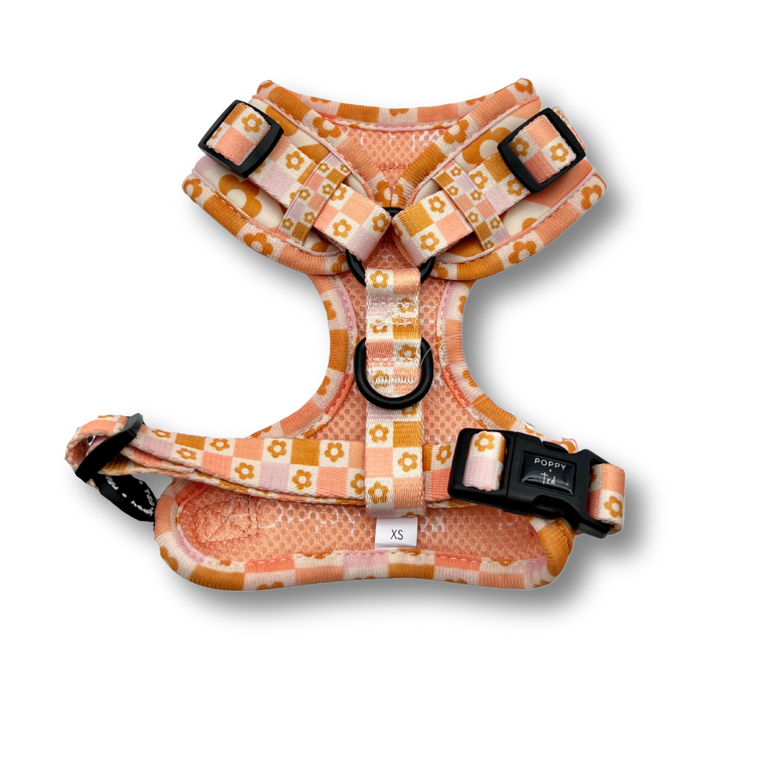 Adjustable dog harness - Flower Patch