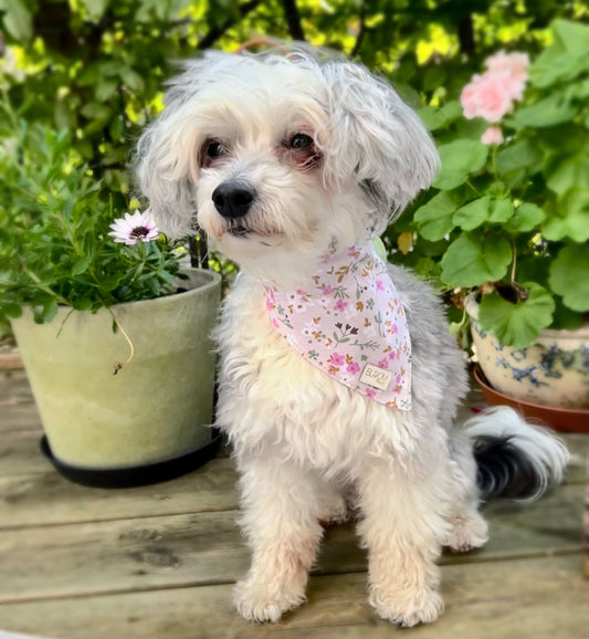 Dog bandana - Pink small flowers