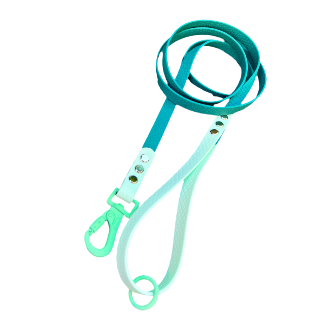 Leash in Biothane Light Gray &amp; Pastel Blue with silver fittings