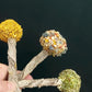 Cooka's Cookies Lollipop