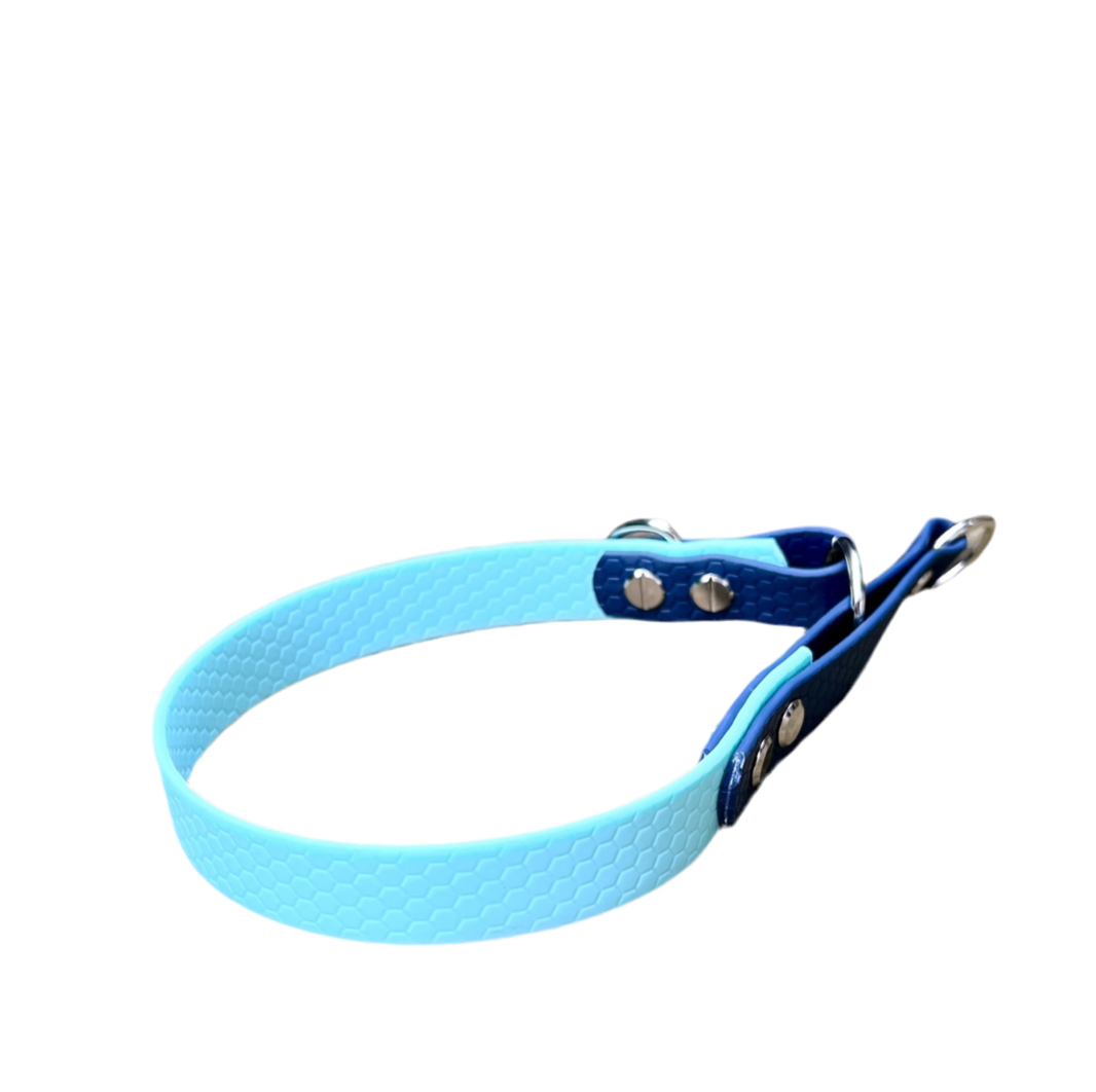 Halsband halvstryp i Biothane/Hexa - Small - Pastel Blue & Marine