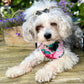 Dog bandana - Pink Flowers