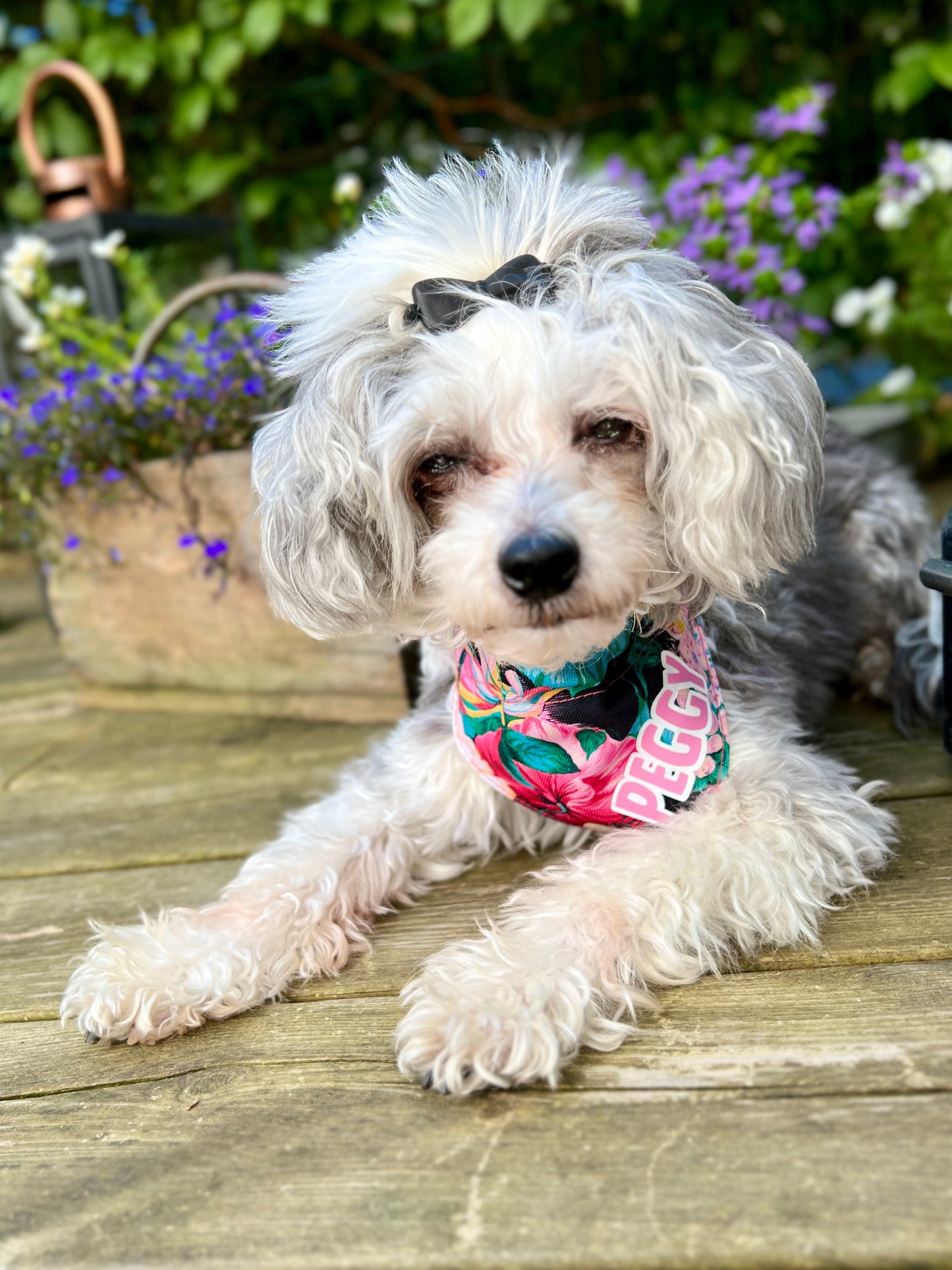 Dog bandana - Pink Flowers