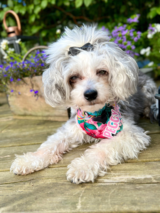 Dog bandana - Pink Flowers