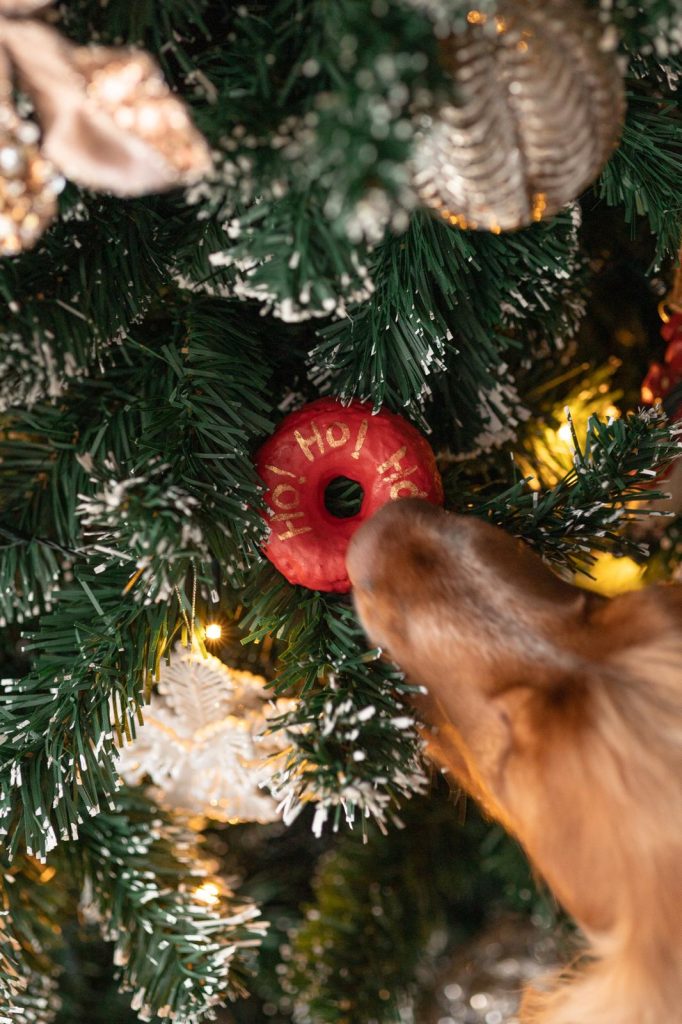 Cooka's Cookies Woofmas Donuts