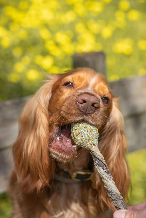 Cooka's Cookies Lollipop