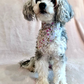 Hundbandana - Rosa små blommor