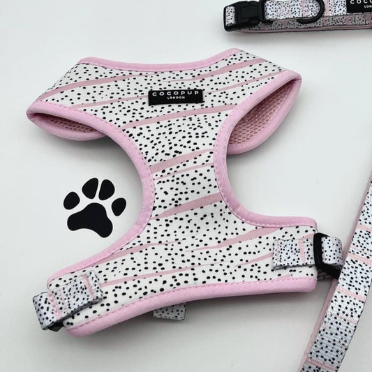 Hundsele Pink Dalmatian